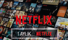 Netflix +